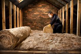 Best Attic Insulation Installation  in Colona, IL