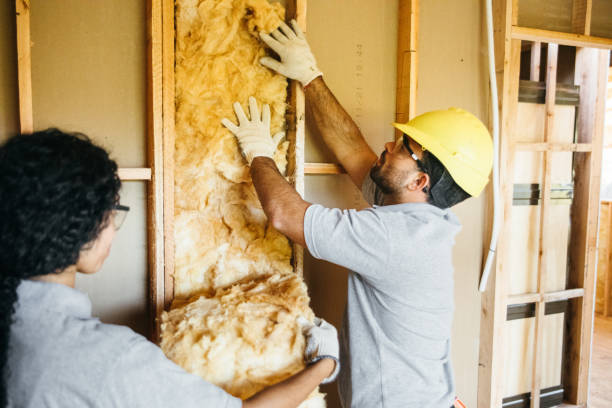 Best Fireproof Insulation  in Colona, IL